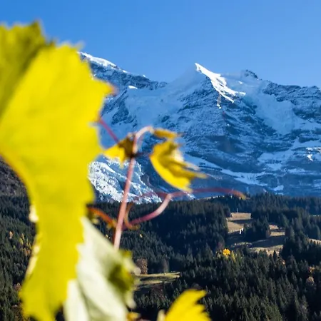 Aargovia South Lejlighed