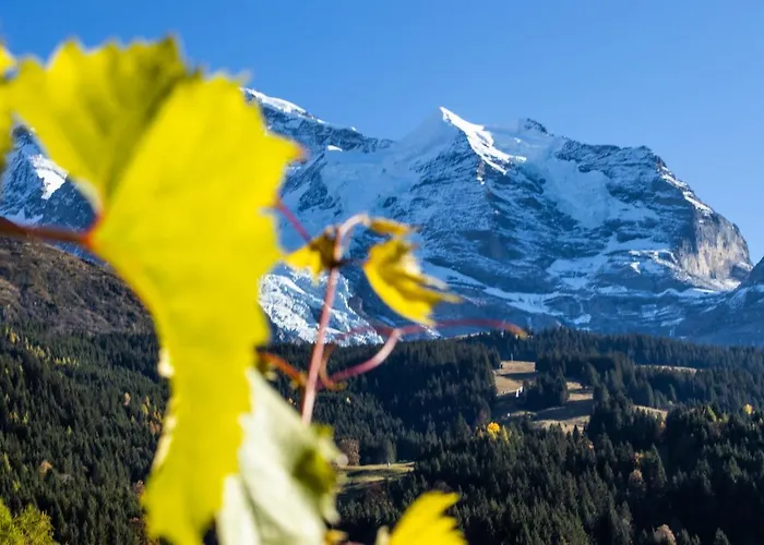 Aargovia South Lägenhet